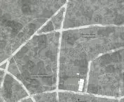 forest zone
