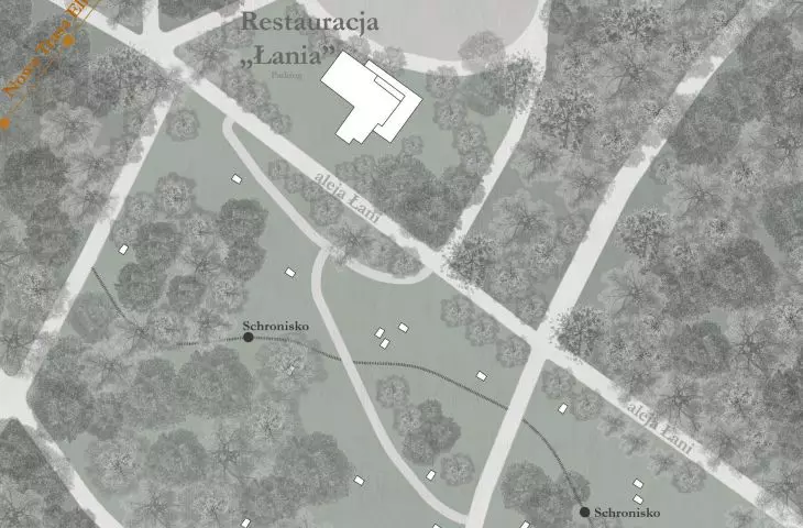 clearing zone