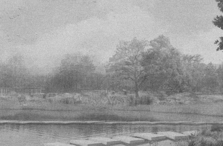 view of the site from the pond