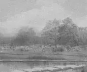 view of the site from the pond