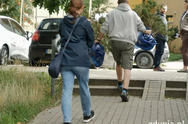 krzewy zostały zabrane przez mieszkanki i mieszkańców Gdyni
