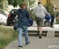 The shrubs were taken by residents of Gdynia