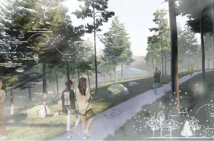 Therapeutic path leads through the forest