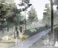 Therapeutic path leads through the forest