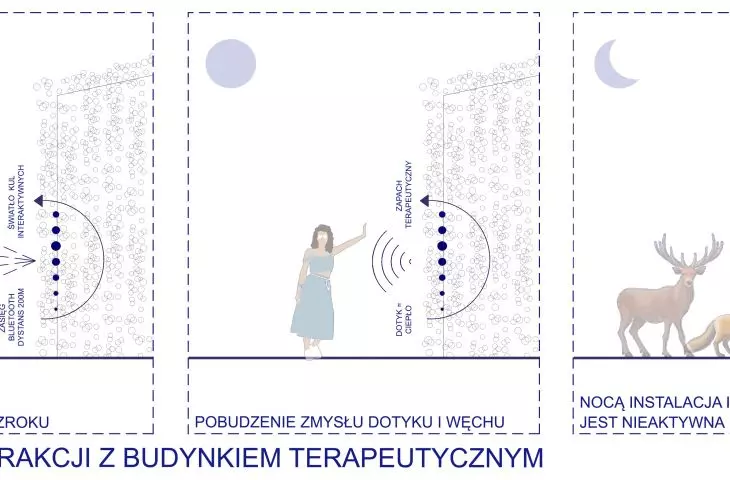 Diagram of interaction with the therapeutic building