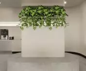 Postpandemic coworking space in Szczecin