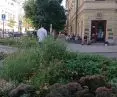 pierwsze zmiany dotyczyły przestrzeni od strony ulicy Bonifraterskiej i Mostowej