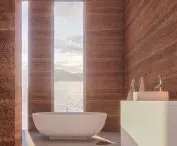 Bathroom overlooking the lake