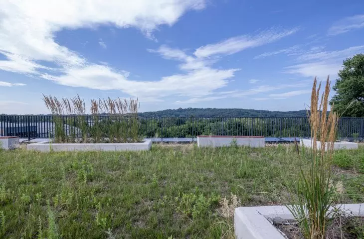 Z zielonego dachu widać Kopiec Kościuszki