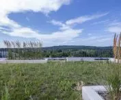 From the green roof you can see Kosciuszko Mound