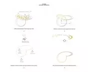 How does Serpentine work?