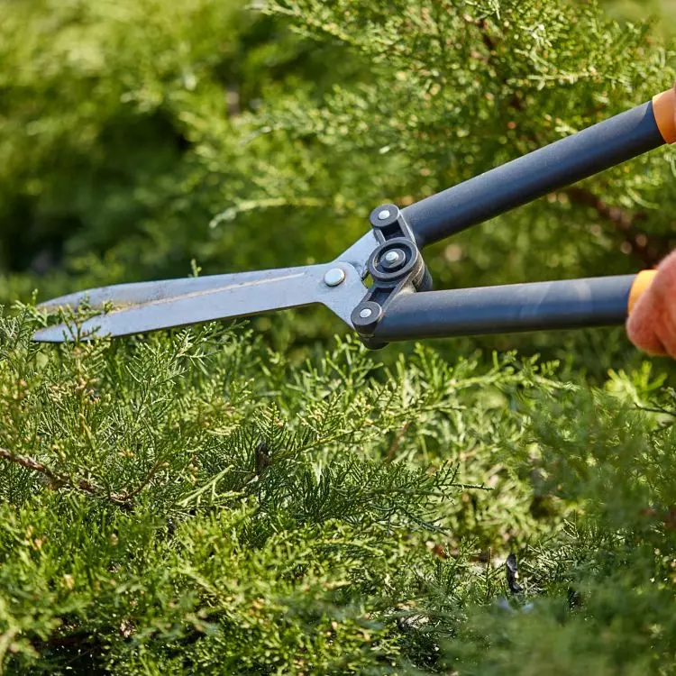 Use only sharp tools