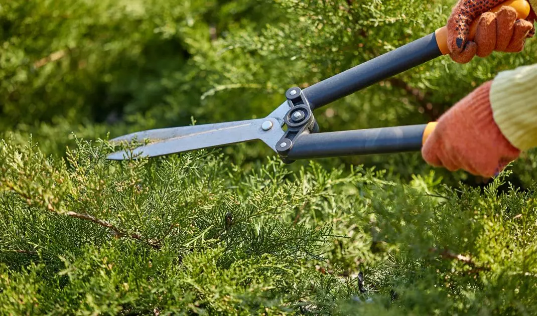 Use only sharp tools