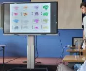 Summary of models, presentation