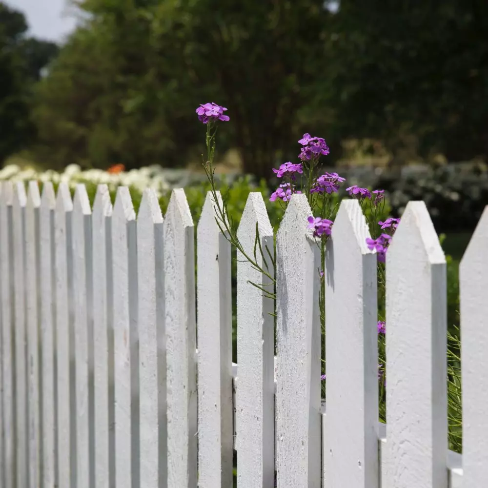 You can protect wooden garden architectural elements in spring or autumn. 
