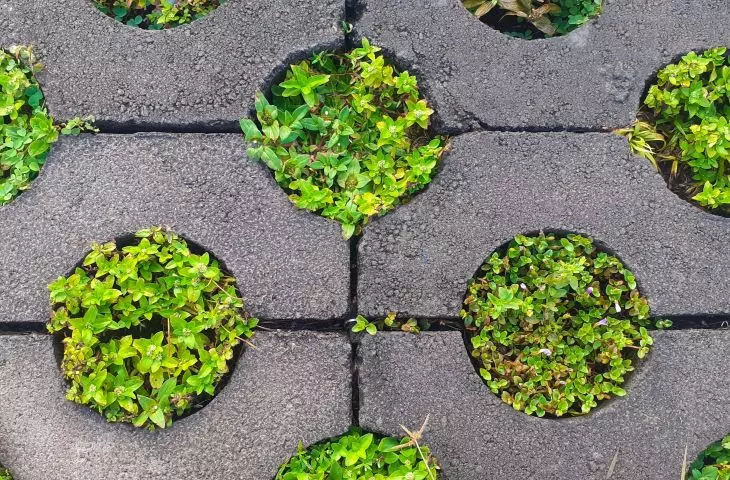 Openwork paving is environmentally friendly and looks very aesthetically pleasing