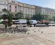 kiedy pojawią się posadzone drzewa na Rynku Głównym w Krakowie?
