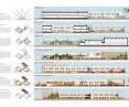 II Nagroda, proj.: Marek Chaciński ARCHITEKT