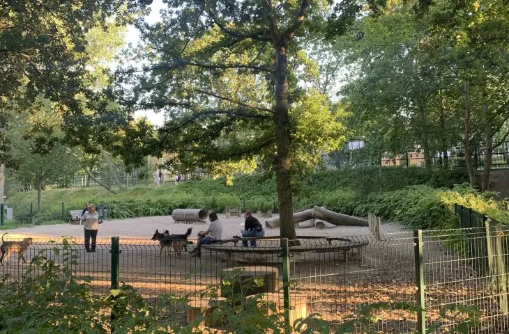 Gdynia Central Park is now fully accessible to visitors