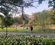Gdynia Central Park is now fully accessible to visitors