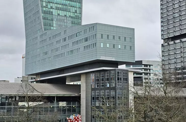 Euralille i tulipany Yayoi Kusamy, które już stały się symbolem miasta