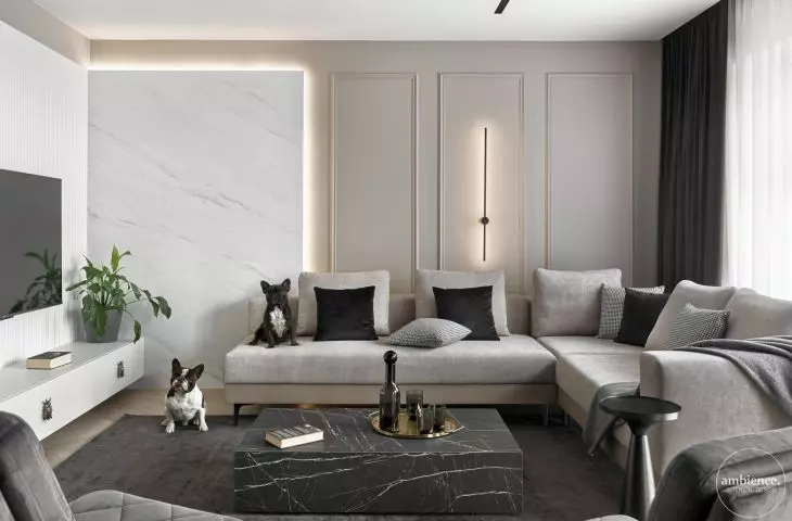 Two French bulldogs live in the house
