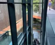 Spaces at new IKM headquarters
