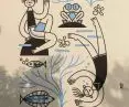 The author of the project is renowned illustrator Gosia Herba