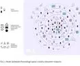 The cooperative model is based on several local ecosystems that include people with disabilities