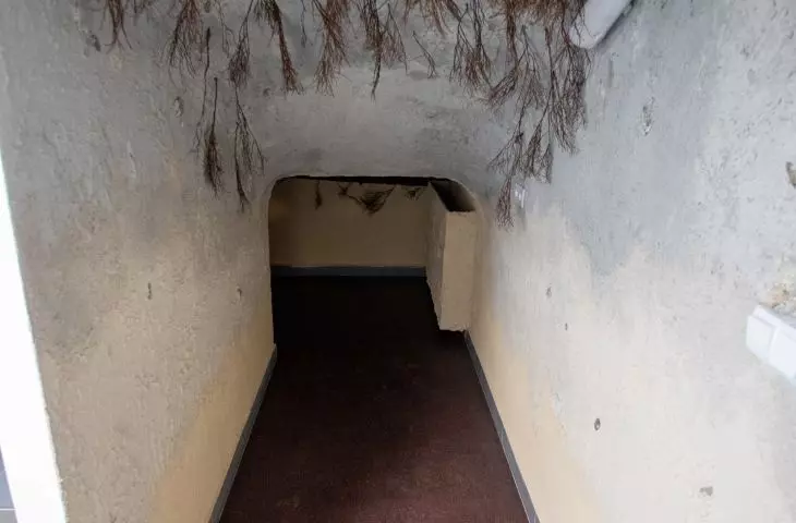 Centrum Edukacji Ekologicznej „Symbioza” w Krakowie