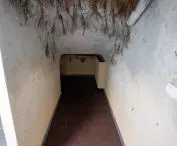 Centrum Edukacji Ekologicznej „Symbioza” w Krakowie