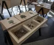 Centrum Edukacji Ekologicznej „Symbioza” w Krakowie