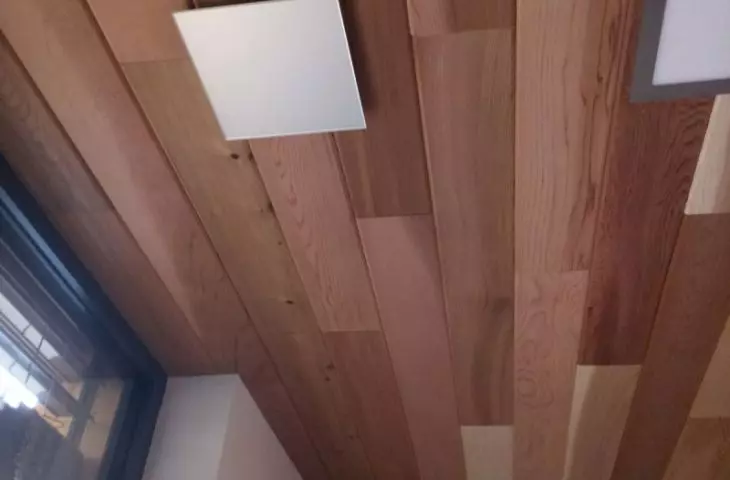 They can be mounted both on the wall and in the ceiling