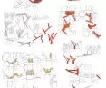 project process