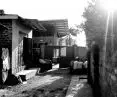 Kamwokya paths leading to TLC