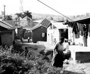 Kamwokya paths leading to TLC
