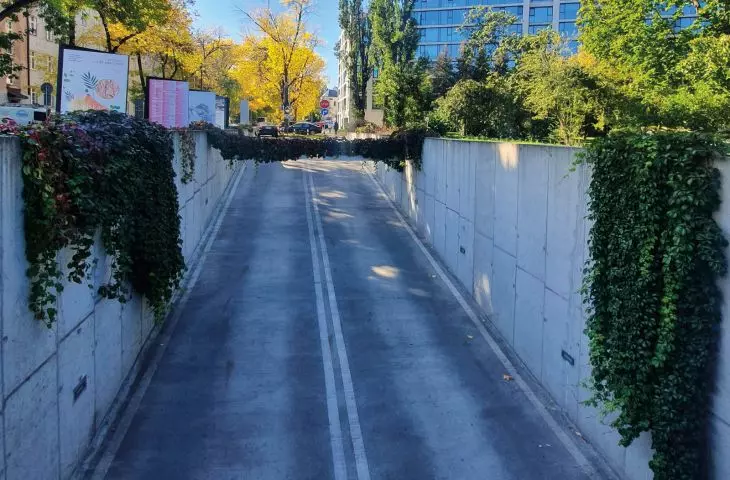 Meeting of Cultures Center in Lublin, overgrown parking lot