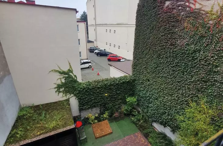 zarastająca ściana i samorosnący zielony dach na wiacie