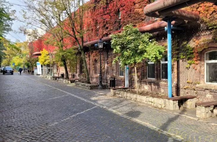 Road on the axis of the entrance to the WSB complex along the building with the library in the depth of the plot