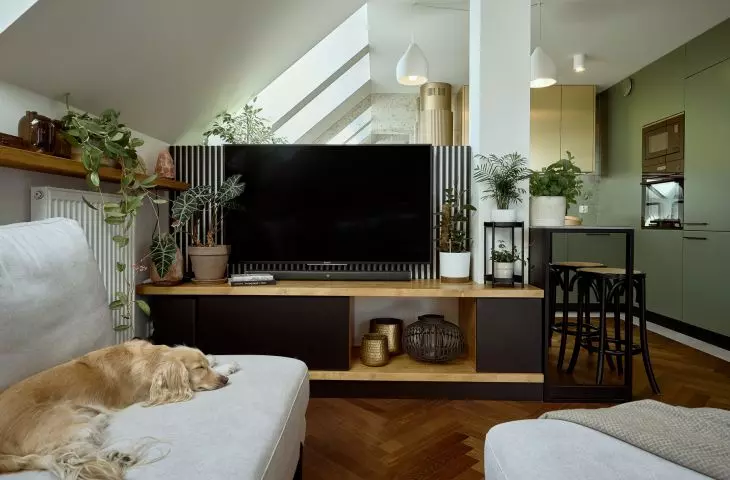 Wrapped in sunshine. Family apartment in urban jungle style