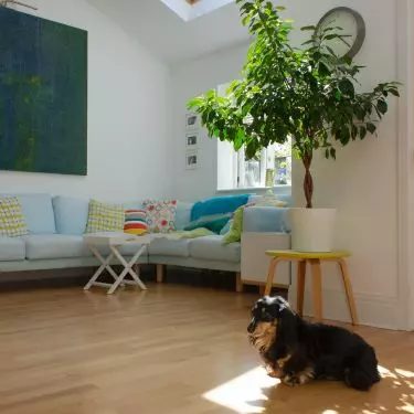 If you have pets, choose scratch-resistant flooring