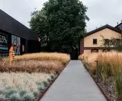 tall grasses, with varied colors and typologies, have resulted in a 'softening' of the brownfields, the designers explain
