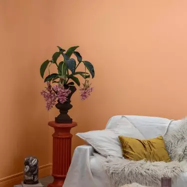 Peach is a beautiful background for wooden furniture