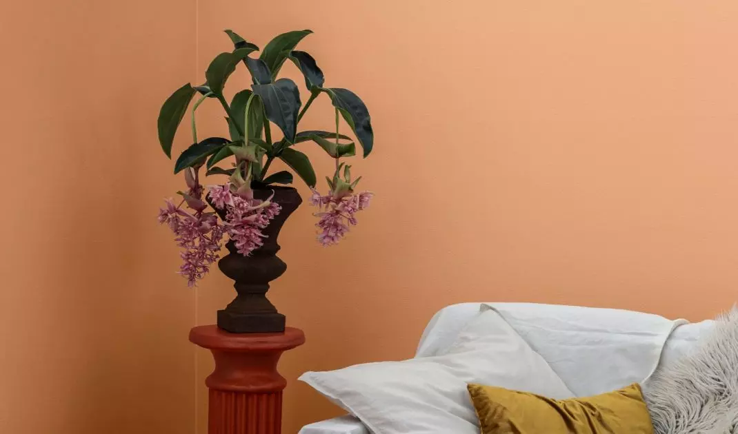 Peach is a beautiful background for wooden furniture