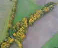 The avenue from a bird's eye view