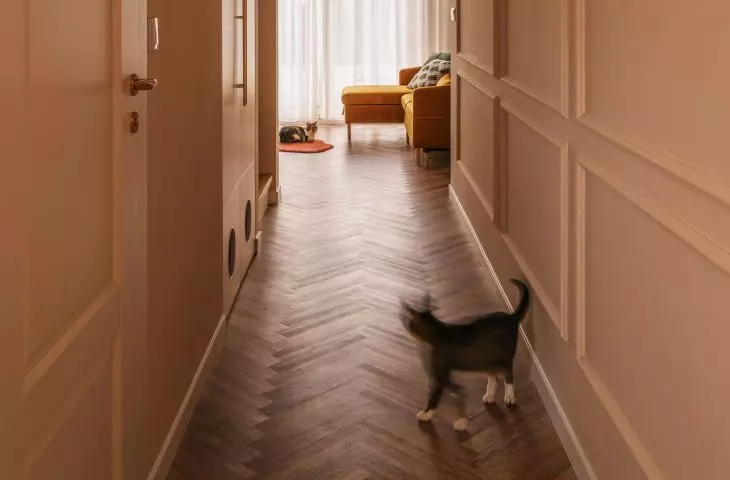 Hallway closet hides litter boxes