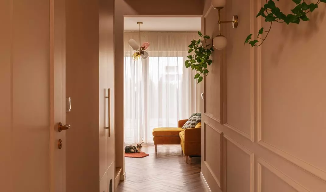 Hallway closet hides litter boxes