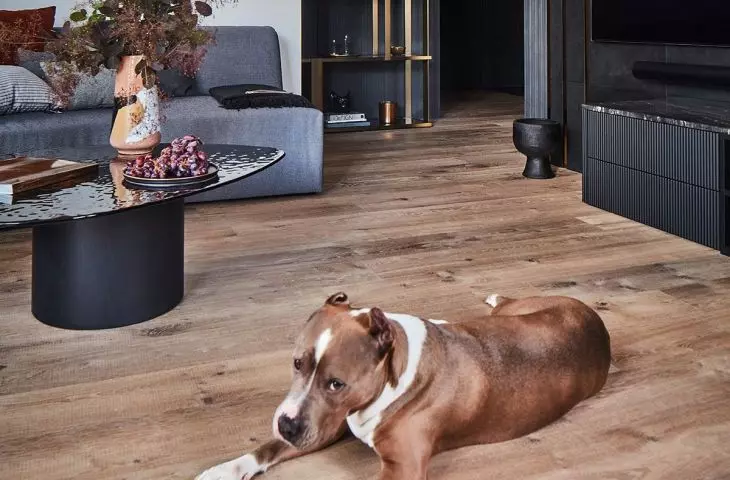Because of the dog, a durable wooden floor was used