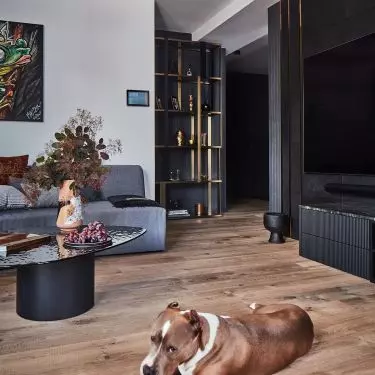 Because of the dog, a durable wooden floor was used