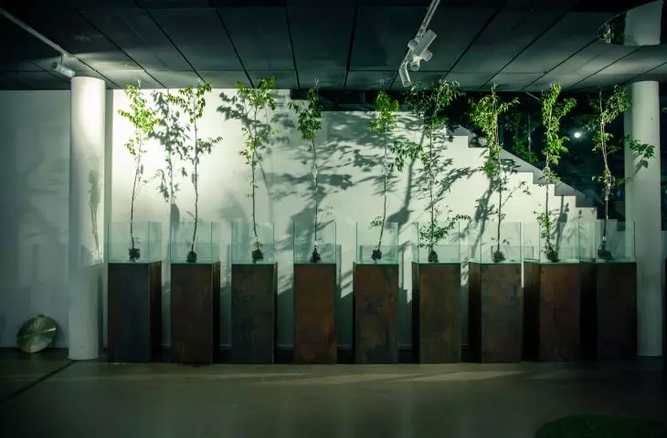 Interactive installations meet an innovative ecosystem that provides a healthy microclimate in the gallery
